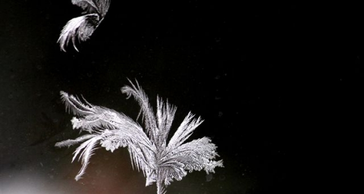 "Piórka z lodu", fot. Waldemar Lenkowski 2012